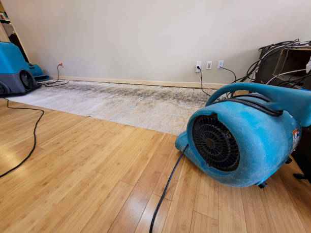 Professional Water Extraction technician working in Commack, NY